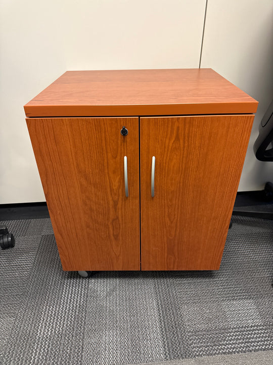 Mobile 2 Door Closed Cabinet
