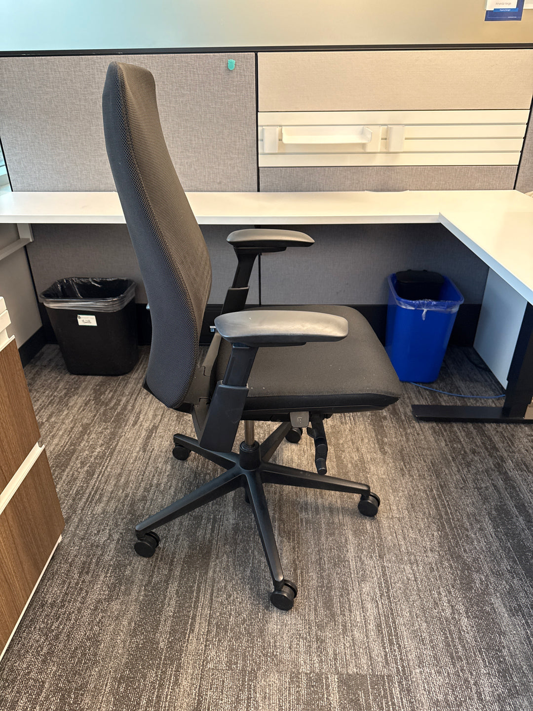 Haworth Fern Task Chair