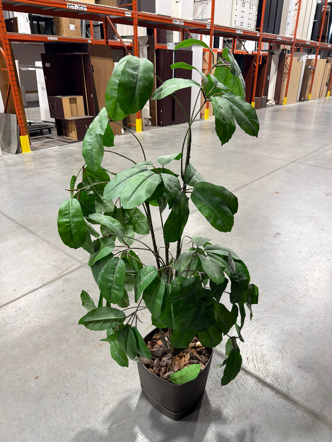 Faux Plant
