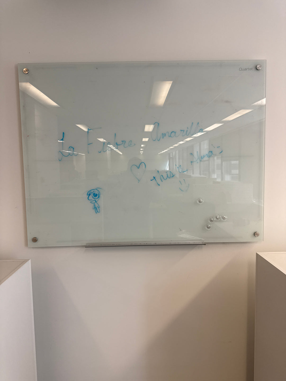 4’ x 3’ Glass Whiteboard