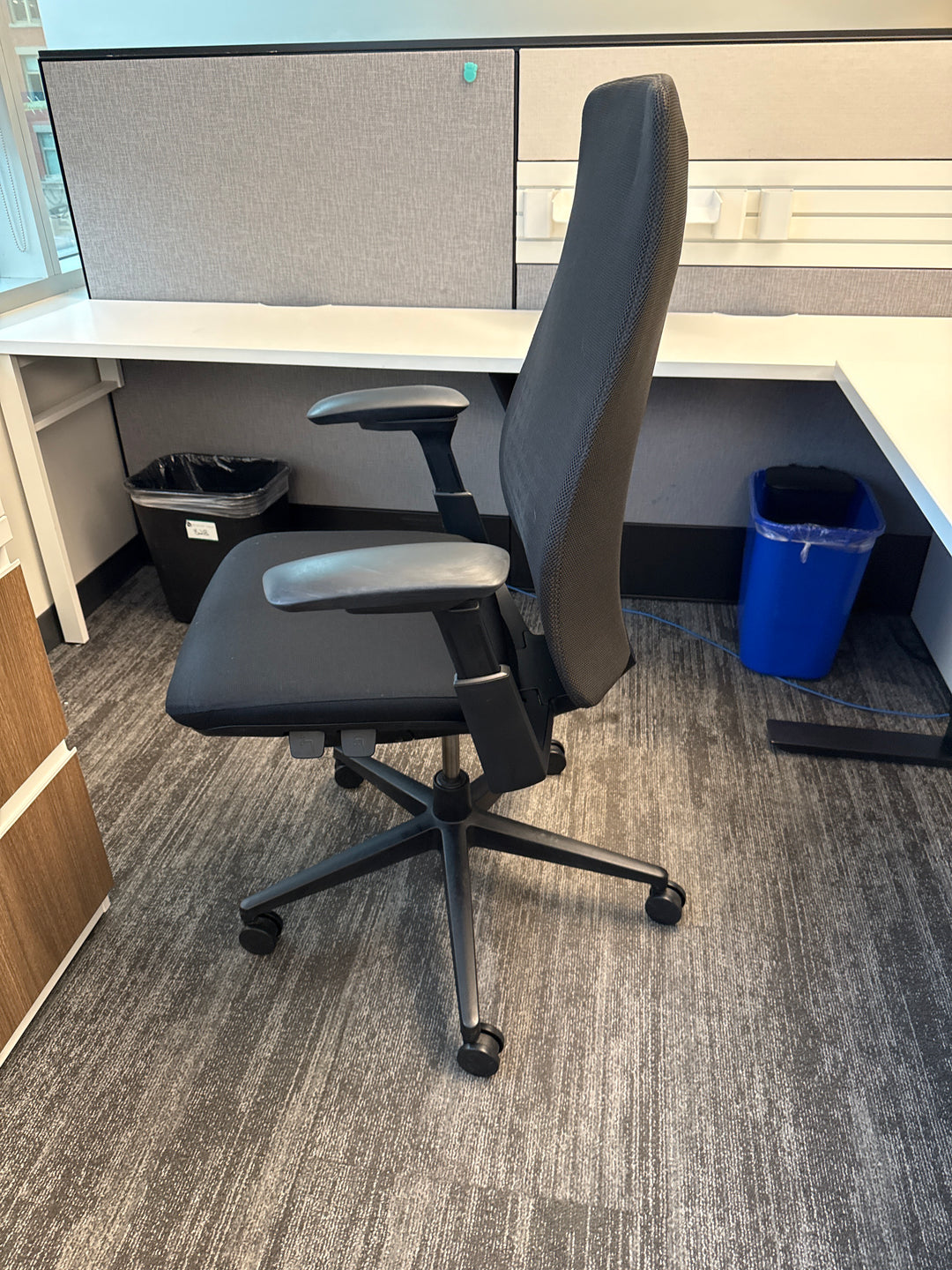 Haworth Fern Task Chair