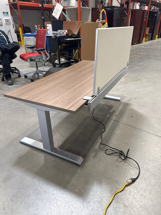 5.5’ Steelcase Electronic Sit Stand Desk w/Privacy Panel