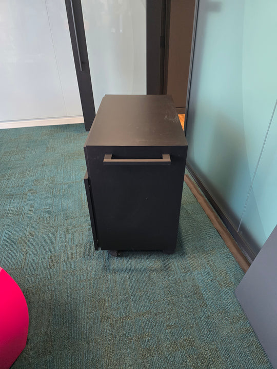 Mobile Media Cabinet