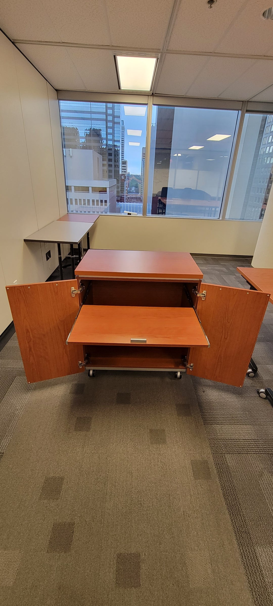 Mobile 2-Door Credenza