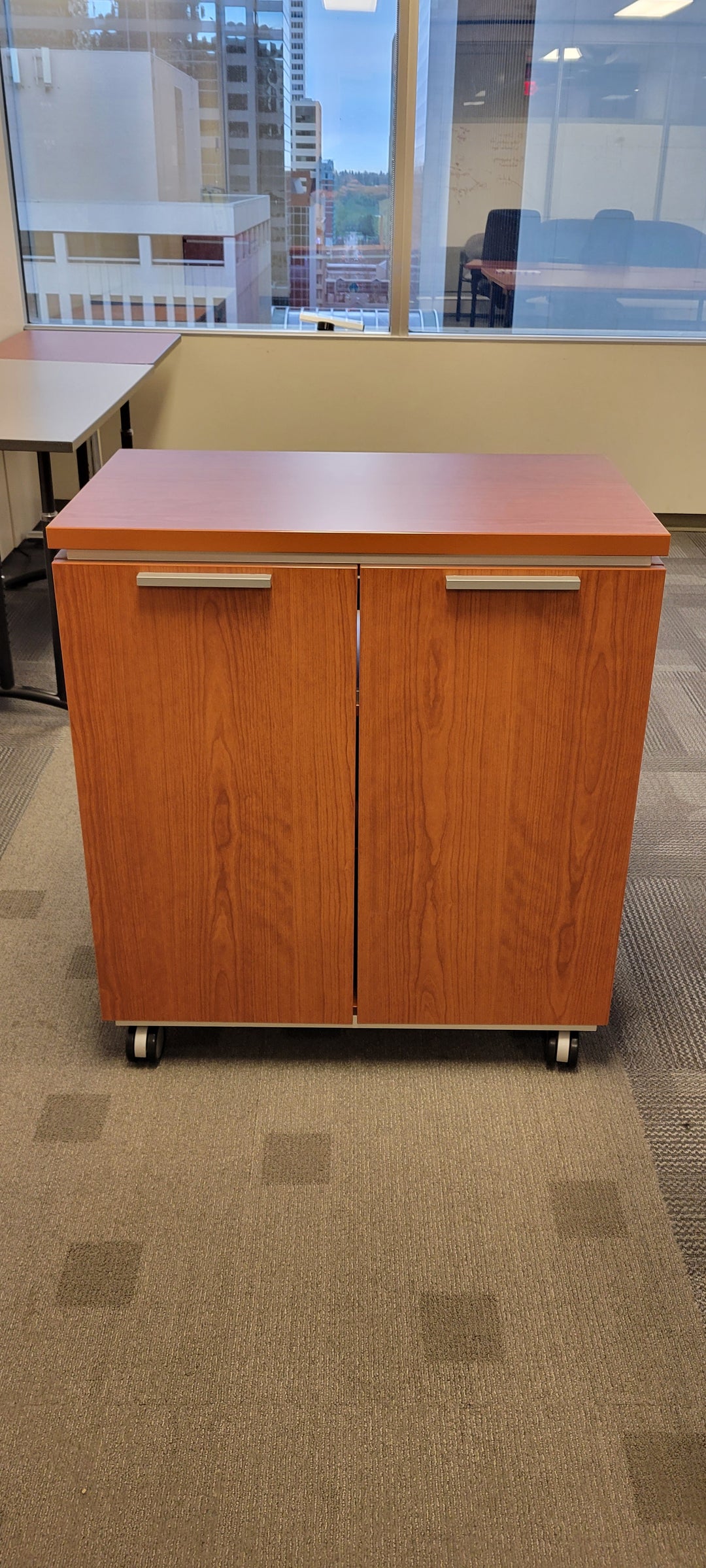 Mobile 2-Door Credenza