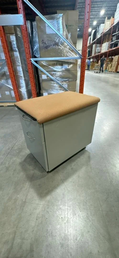 Steelcsae Metal Mobile BF Ped w/Cushion Top