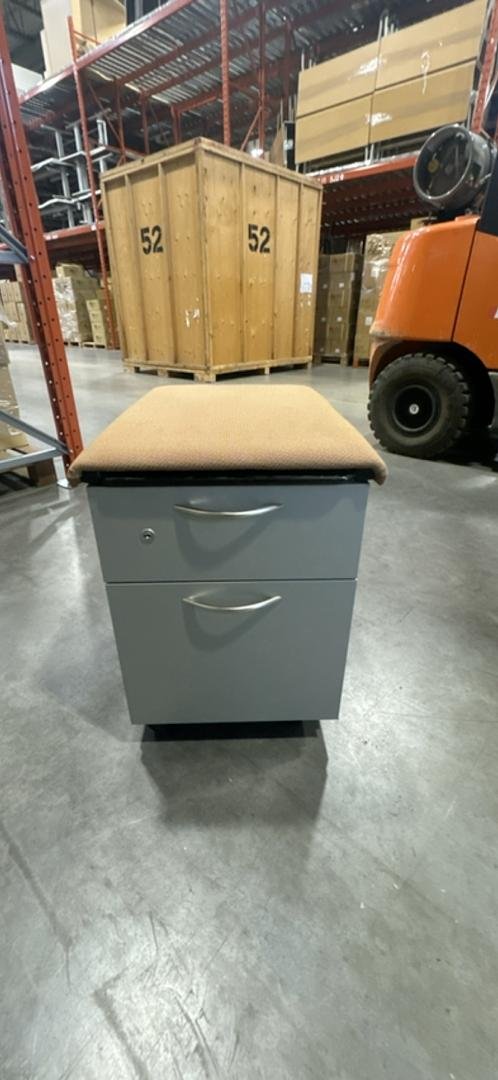 Steelcsae Metal Mobile BF Ped w/Cushion Top