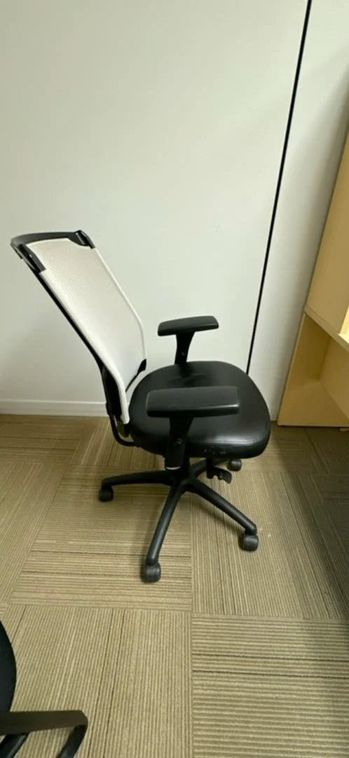 Mesh Back Task Chair w/Leather Seat