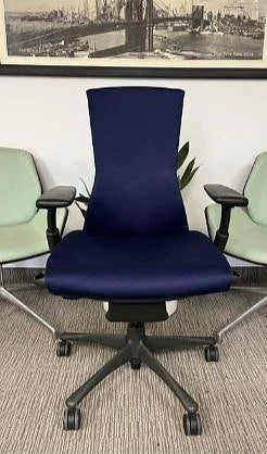Herman Miller Embody Task Chair