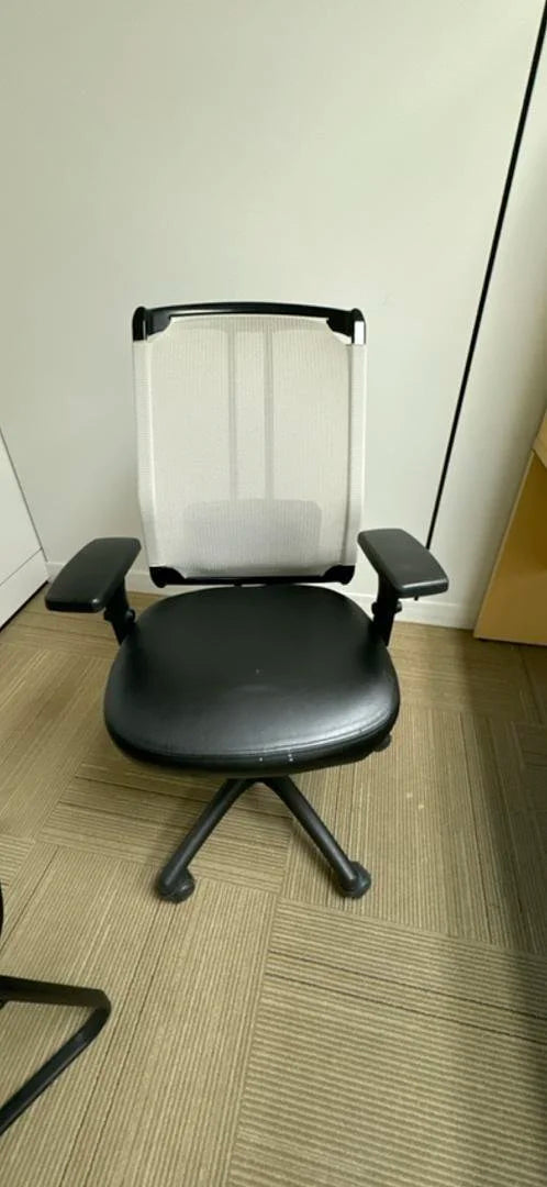 Mesh Back Task Chair w/Leather Seat