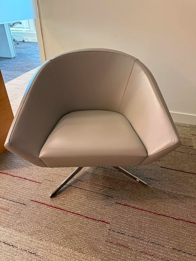 Leather Lounge Chair